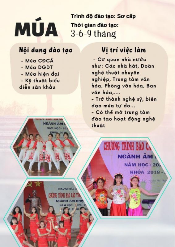 Trường Cao Đẳng Gia Lai