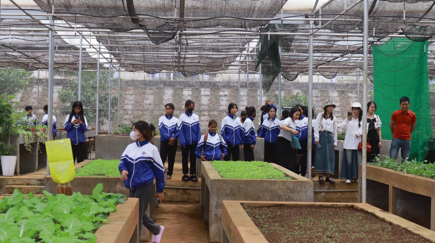 Trường Cao Đẳng Gia Lai