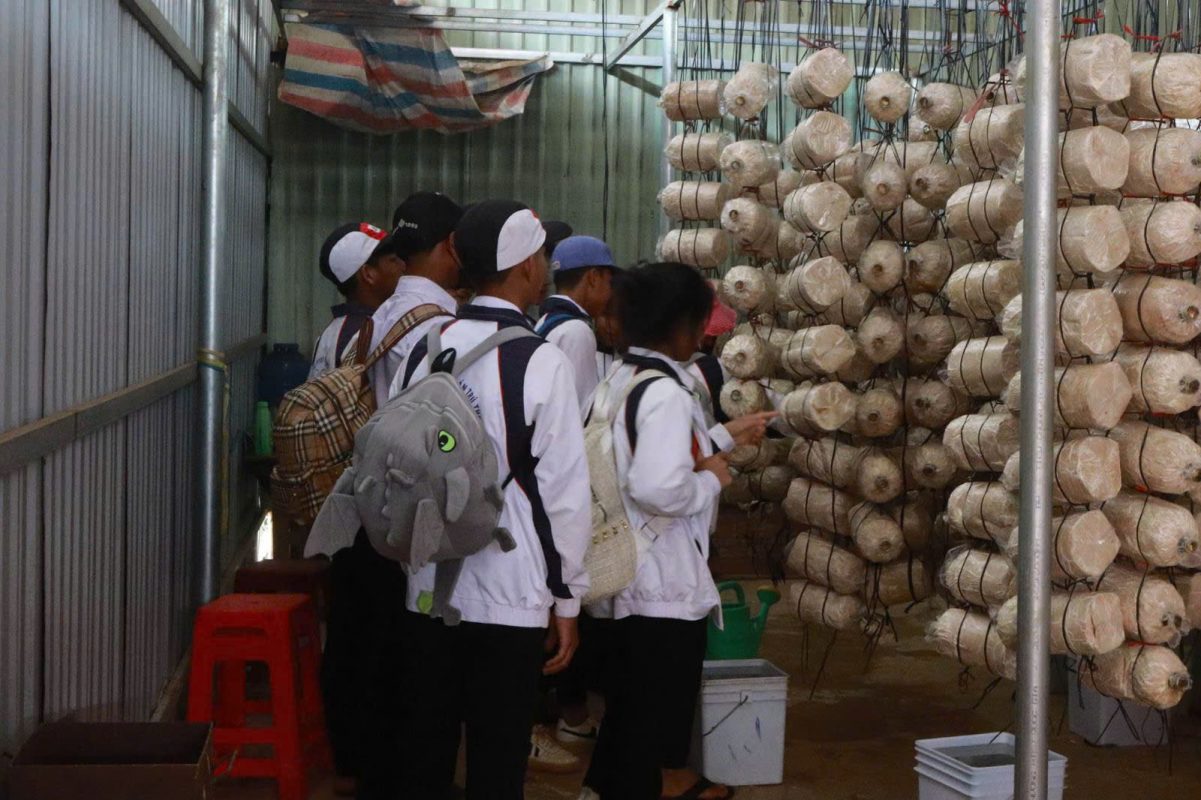 Trường Cao Đẳng Gia Lai