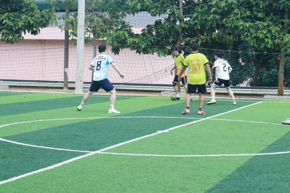 Trường Cao Đẳng Gia Lai