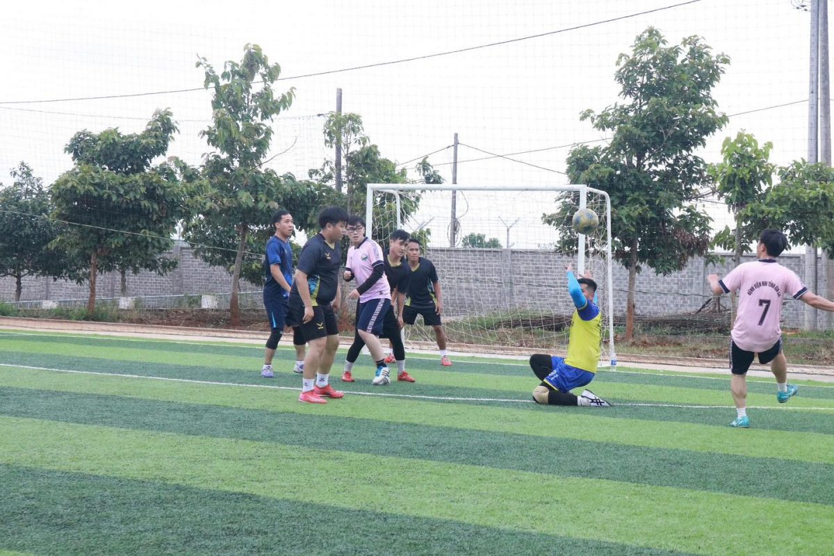 Trường Cao Đẳng Gia Lai