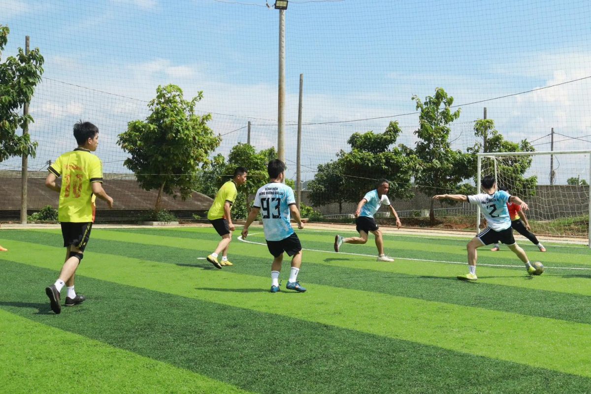 Trường Cao Đẳng Gia Lai