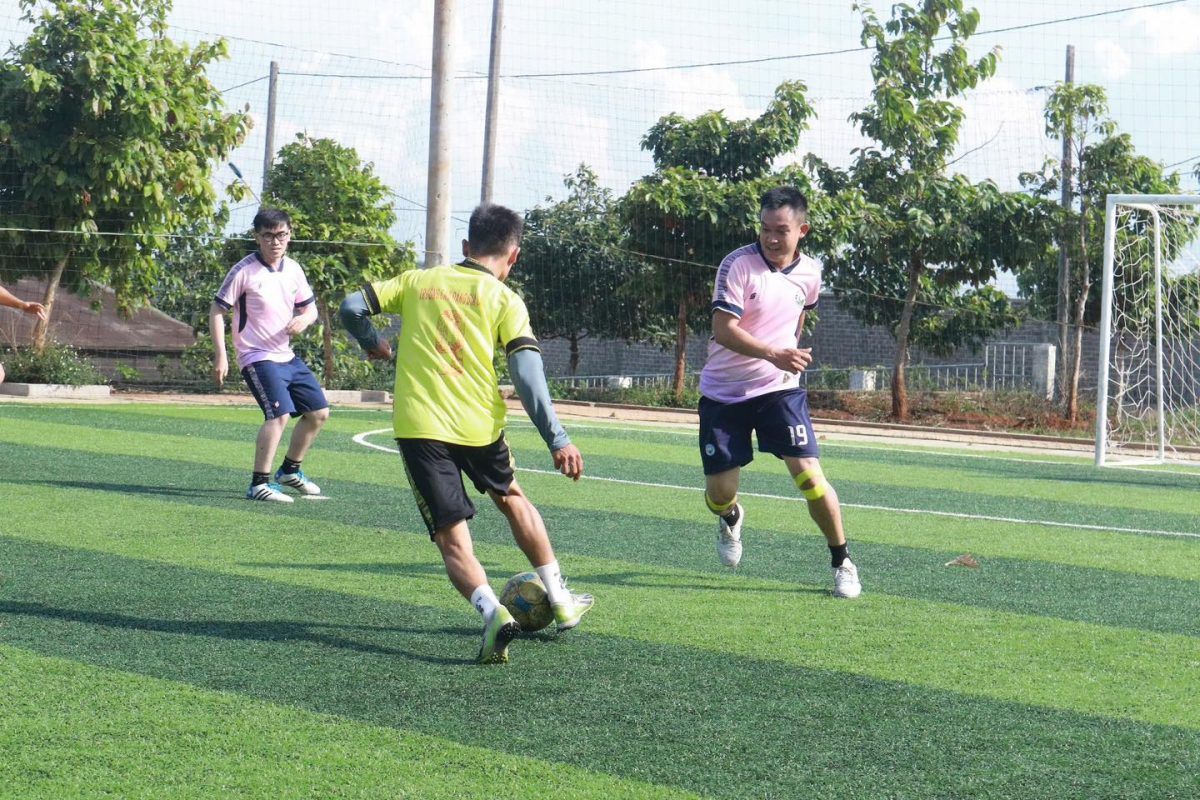 Trường Cao Đẳng Gia Lai