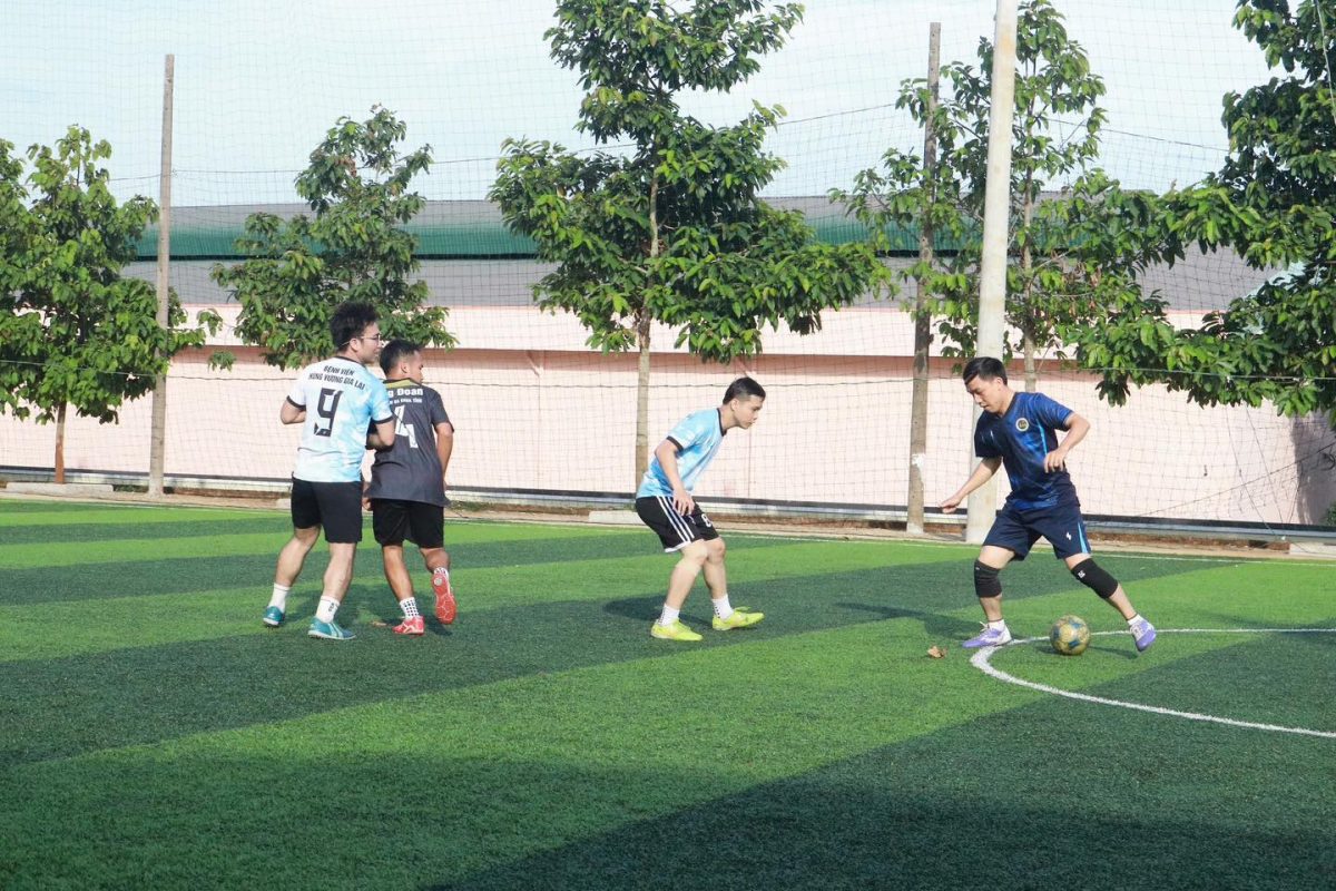 Trường Cao Đẳng Gia Lai