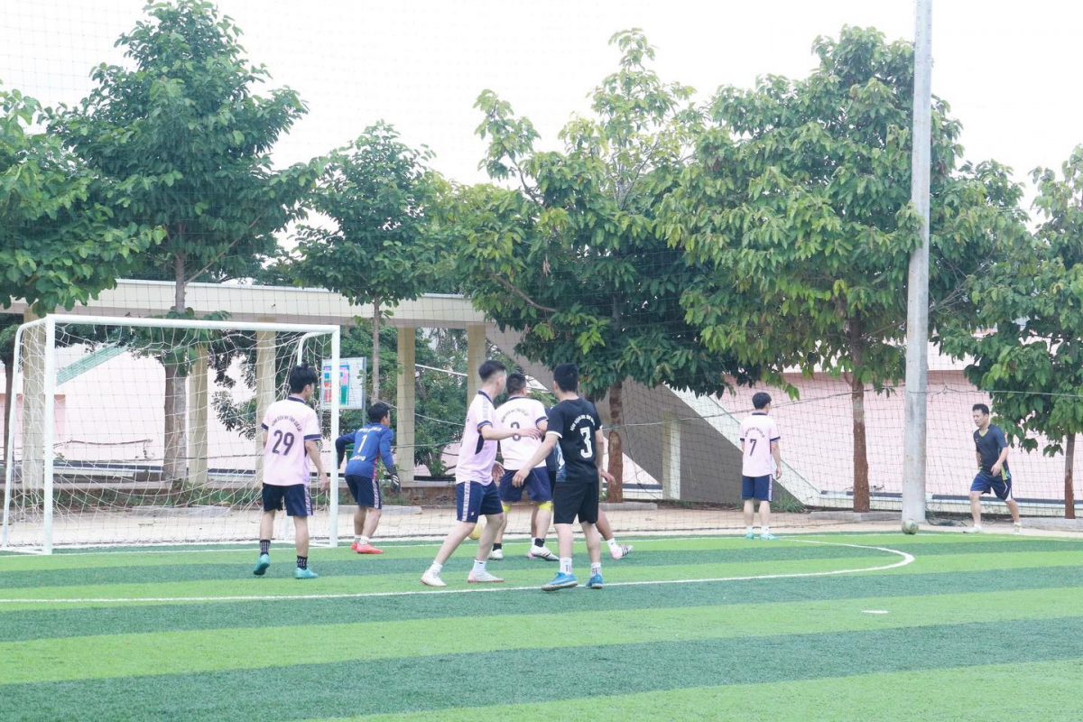 Trường Cao Đẳng Gia Lai