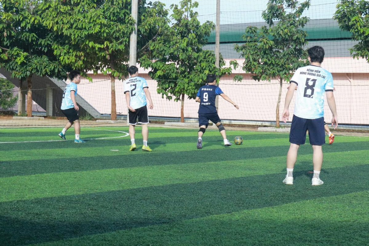 Trường Cao Đẳng Gia Lai