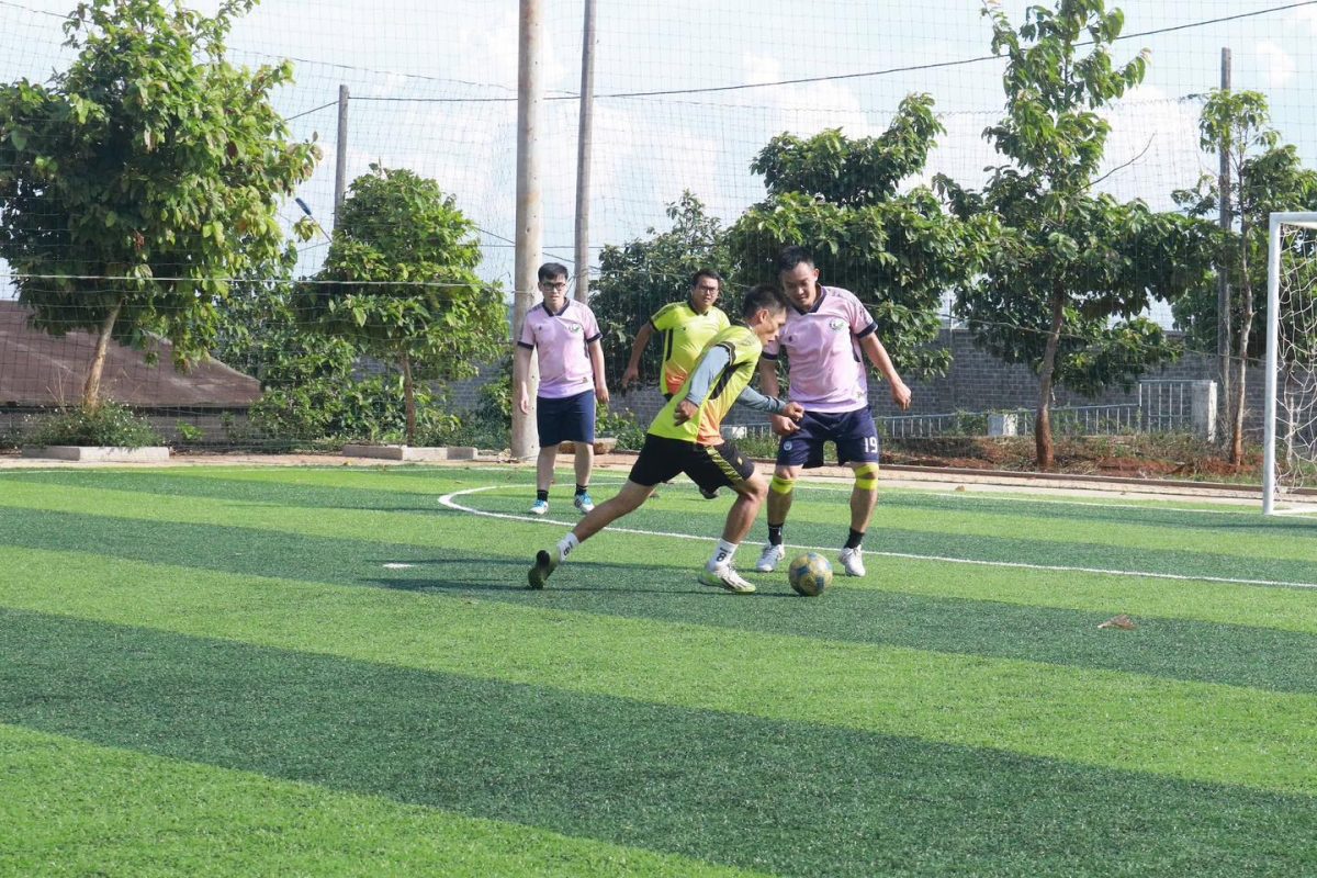 Trường Cao Đẳng Gia Lai