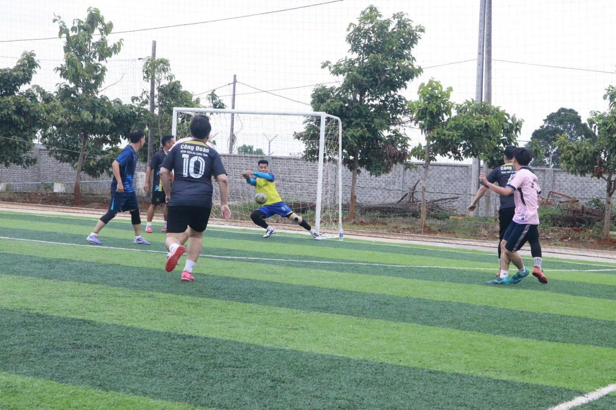 Trường Cao Đẳng Gia Lai