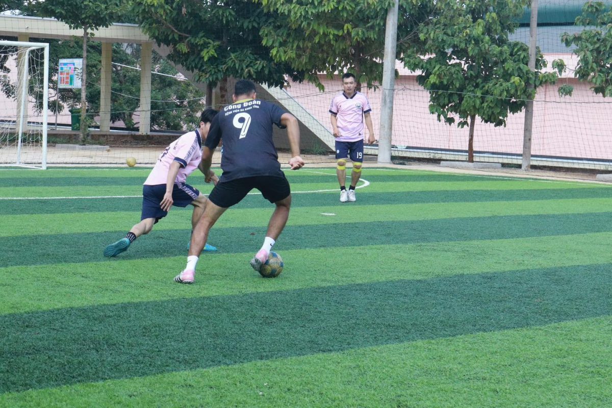 Trường Cao Đẳng Gia Lai