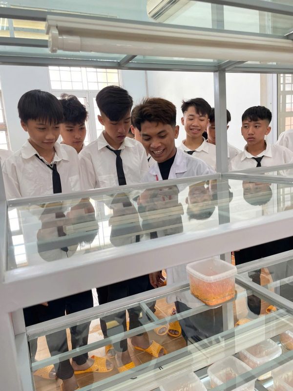 Trường Cao Đẳng Gia Lai