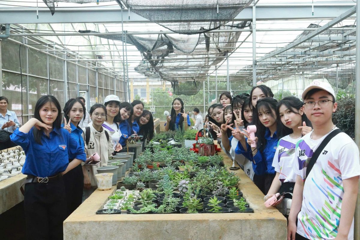 Trường Cao Đẳng Gia Lai