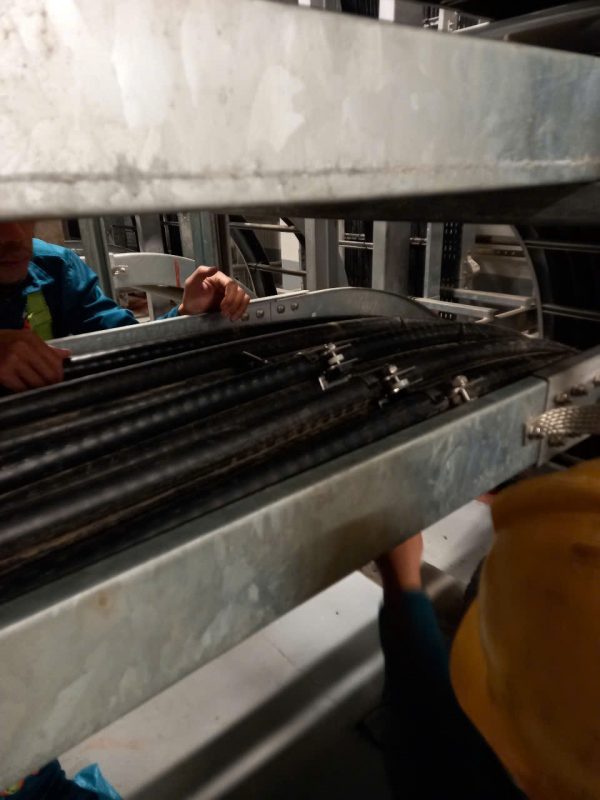 Trường Cao Đẳng Gia Lai