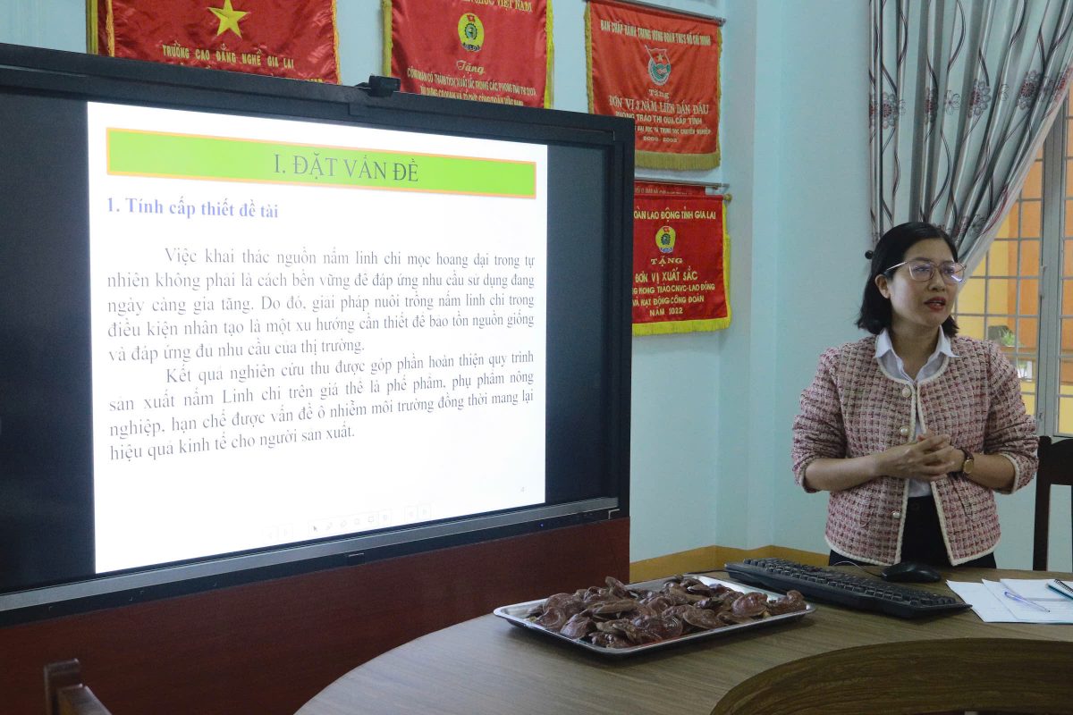 Trường Cao Đẳng Gia Lai