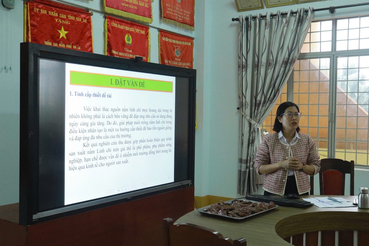 Trường Cao Đẳng Gia Lai