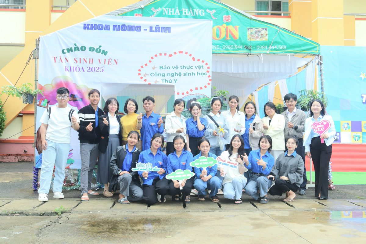 Trường Cao Đẳng Gia Lai