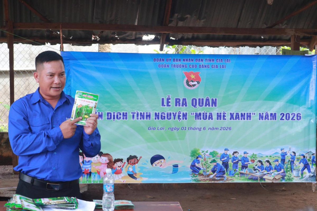 Trường Cao Đẳng Gia Lai