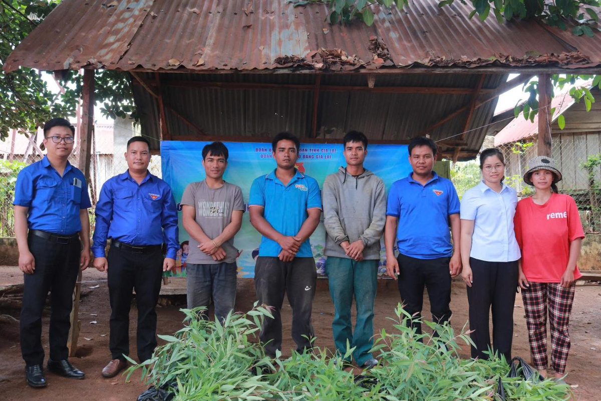 Trường Cao Đẳng Gia Lai