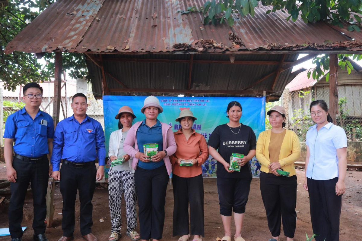 Trường Cao Đẳng Gia Lai